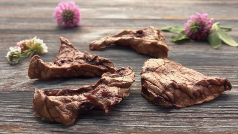 Where to Buy Natural Turkey Heart Treats Your Cat Will Love 