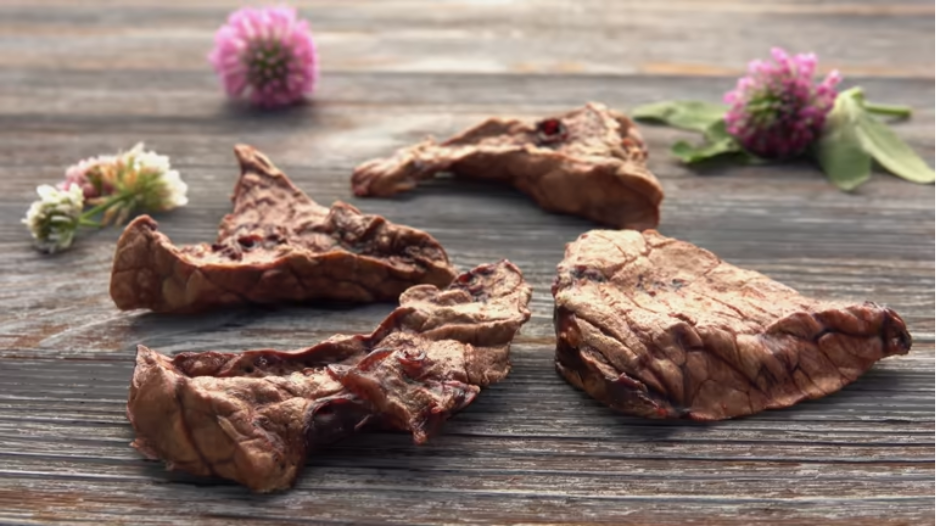 Where to Buy Natural Turkey Heart Treats Your Cat Will Love 